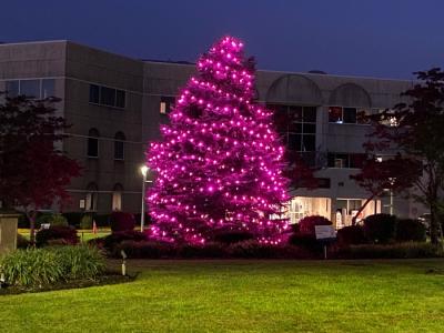 st. catherine of siena pink lighted tree for breast cancer awareness month